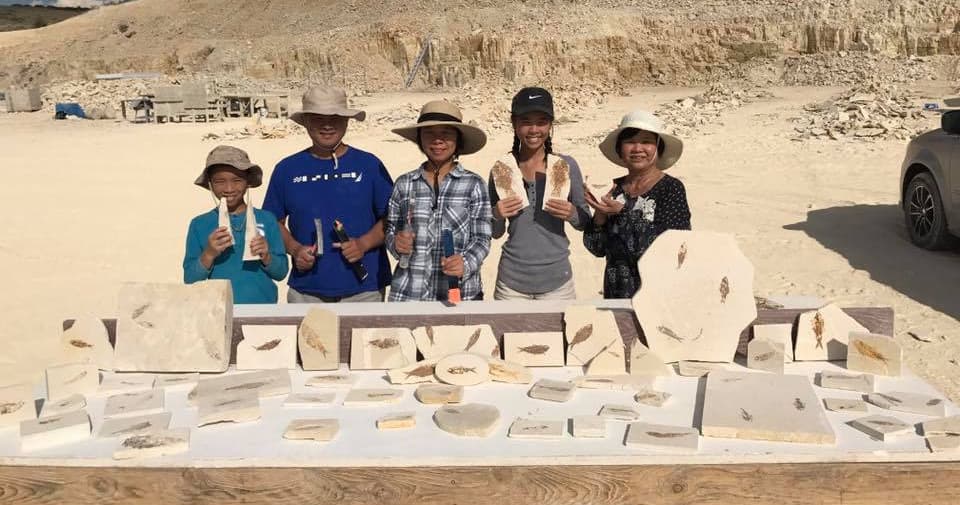 Family fossil hunting display with collected slabs at limestone quarry
