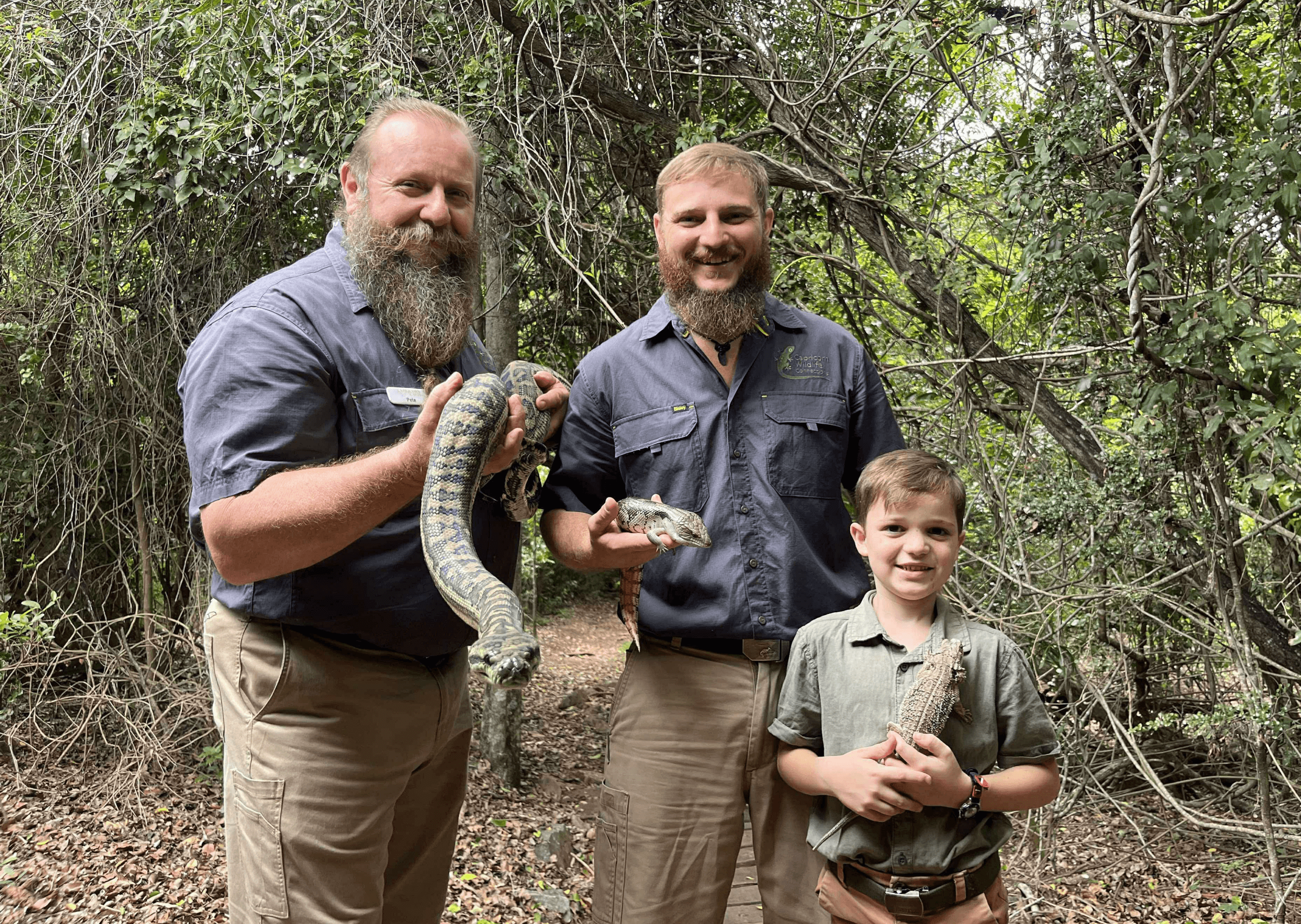 Inside Cathedral Cave: Caves & Creatures Up Close at Capricorn Caves