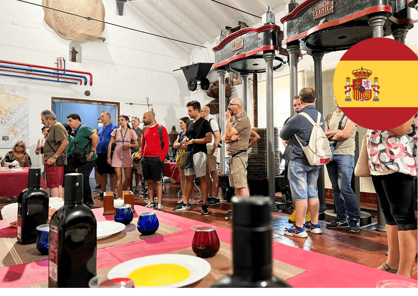Olive Oil Immersion: Guided Mill Tour and Tasting at Oleícola San Francisco in Jaén