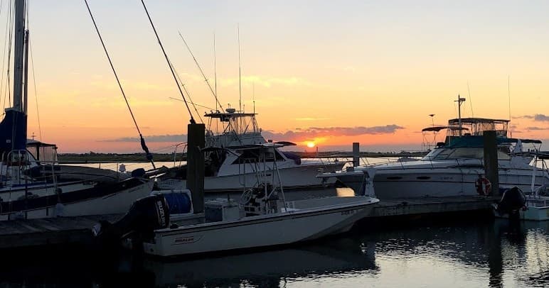 Explore Savannah’s Coastline Aboard the 17.5' Montauk Whaler for Family Adventures and Dolphin Tours