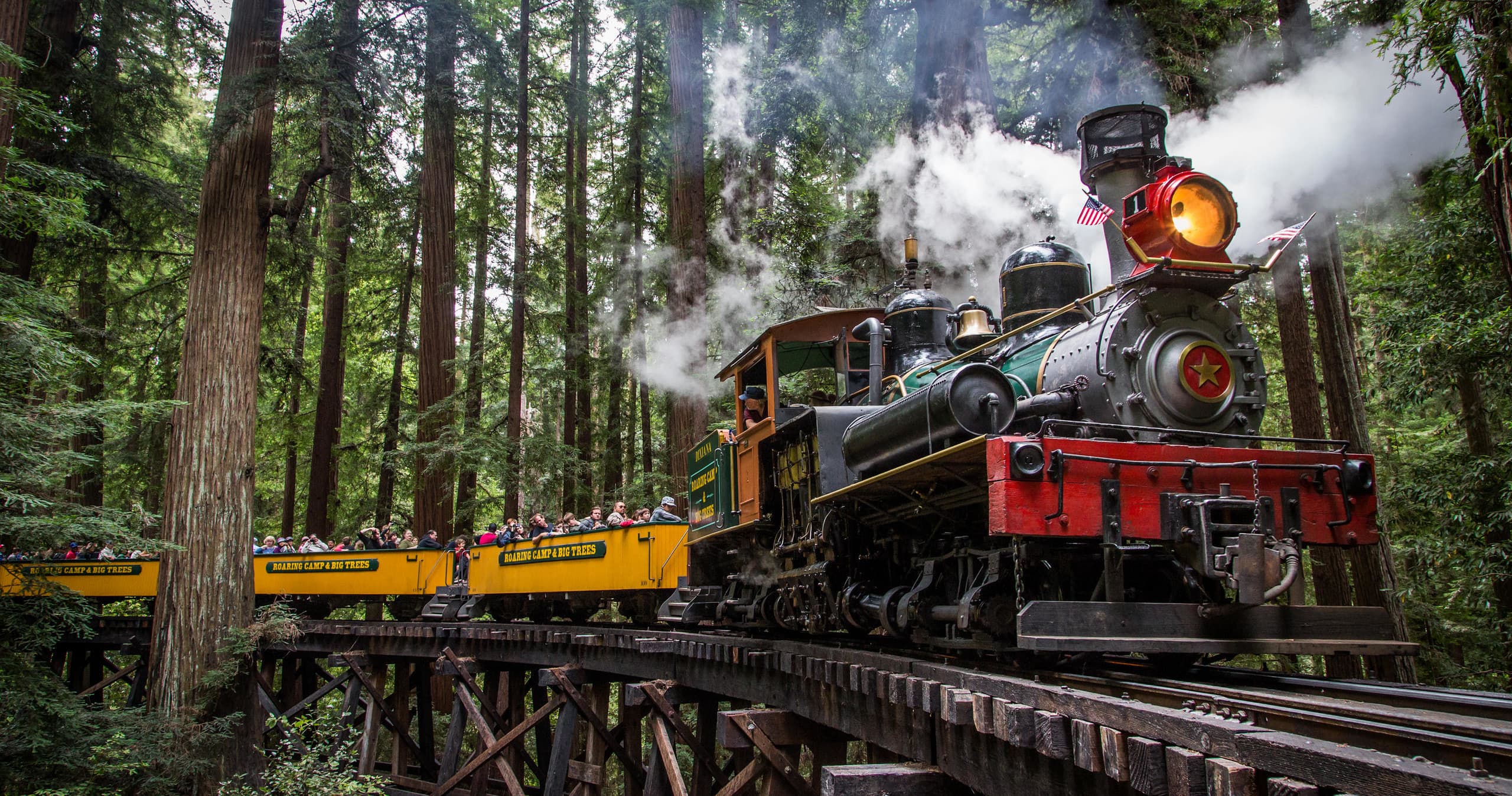 Redwood Forest Train Adventure in Felton, California