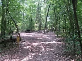 Small Campsites Near Danielsville: Primitive, Private Camping for Up to Three