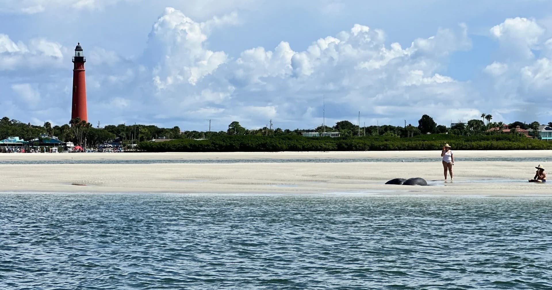 Boat Tour in Ormond Beach, Florida
