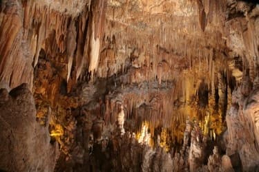 Explore Castellana Grotte and Polignano a Mare: The Ultimate Land and Sea Adventure in Puglia, Italy
