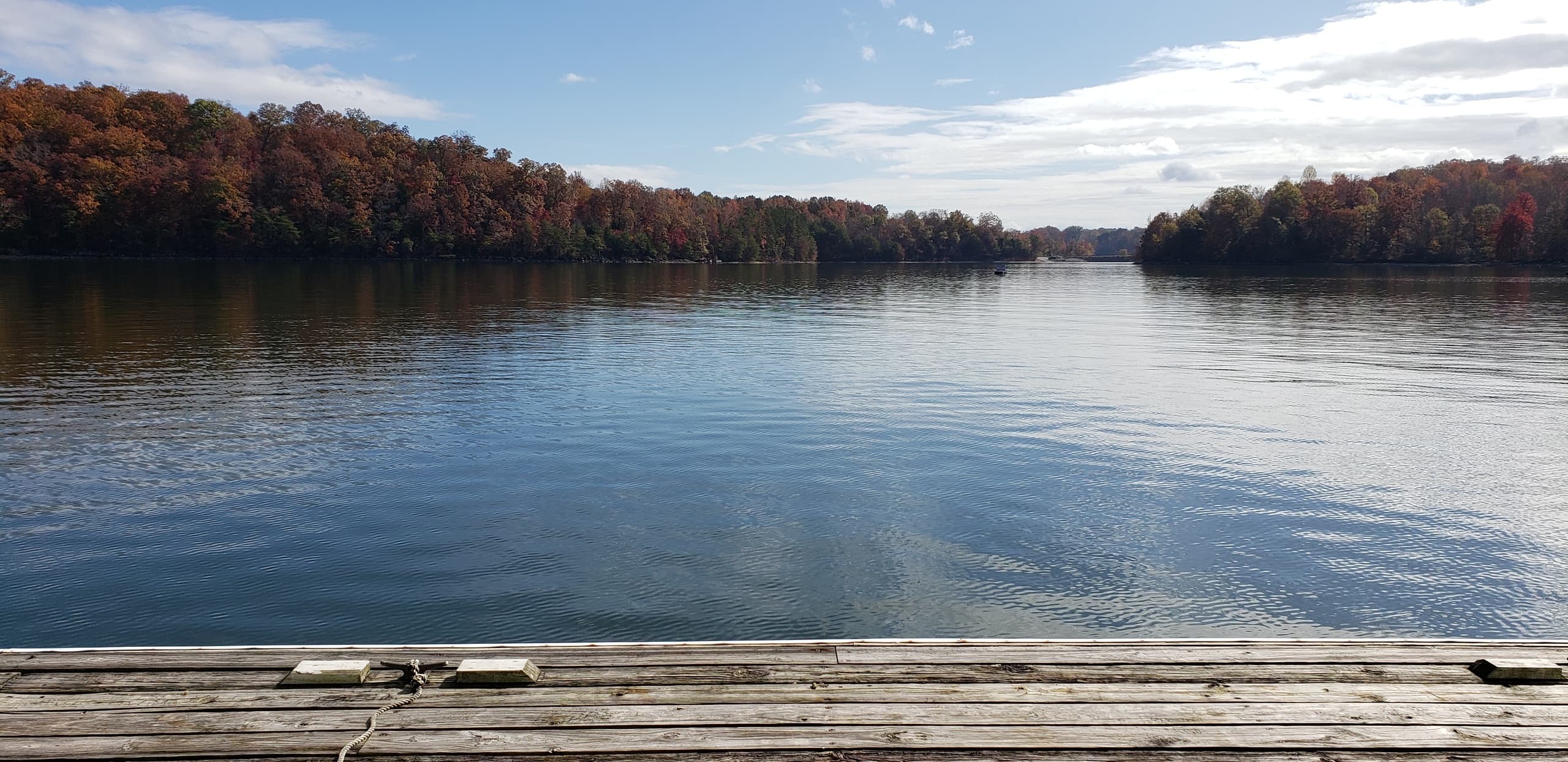 Luxury Pontoon Boat Trip at Pine Harbor by Erwin Boat Rentals