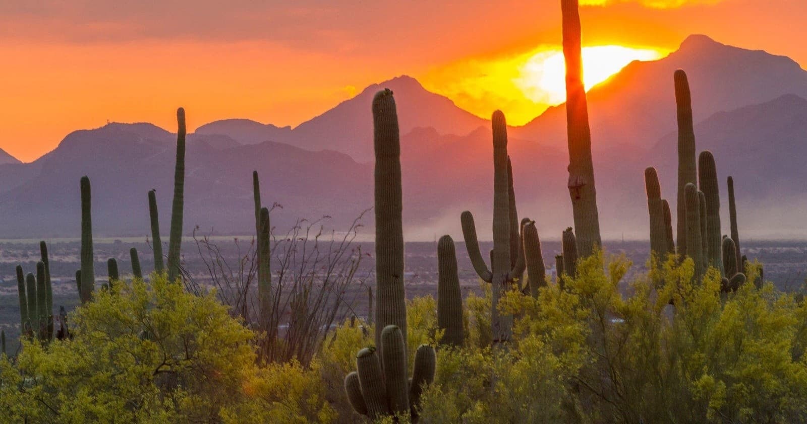 Jeep Tours with Wild West Jeep Tours in Scottsdale, AZ