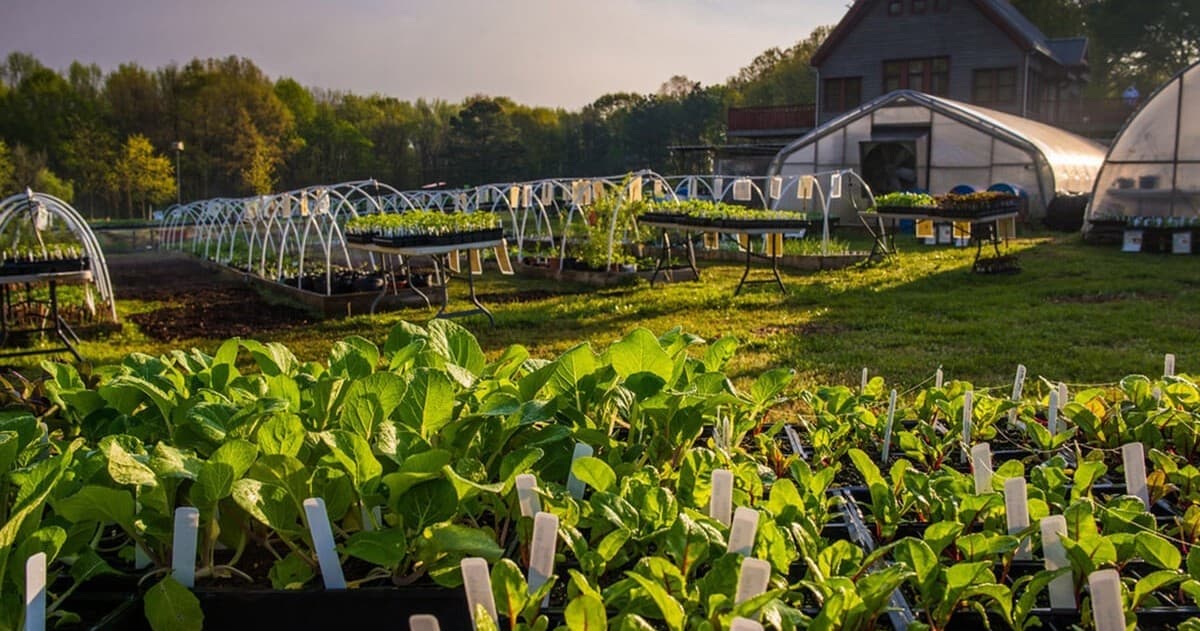 Educational Farm Tours at Crabtree Farms of Chattanooga