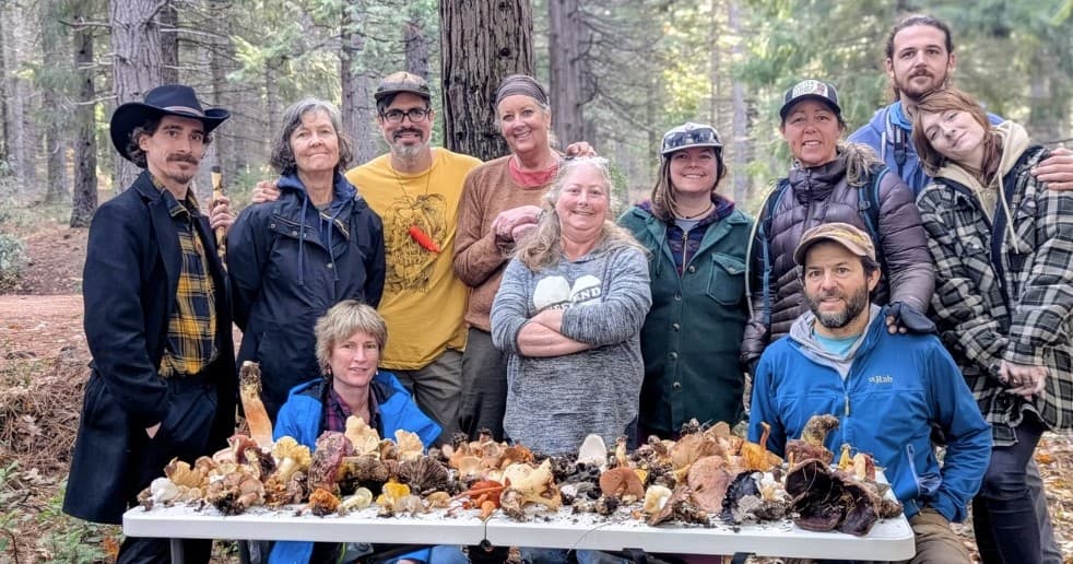 Foraging Fungi on Mount Shasta: Guided Mushroom Walks in Siskiyou County