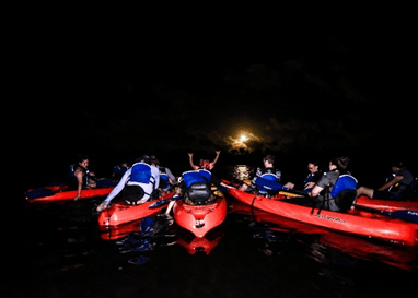 Paddle the Glowing Lagoon: Bioluminescent Bay Kayak in Luquillo