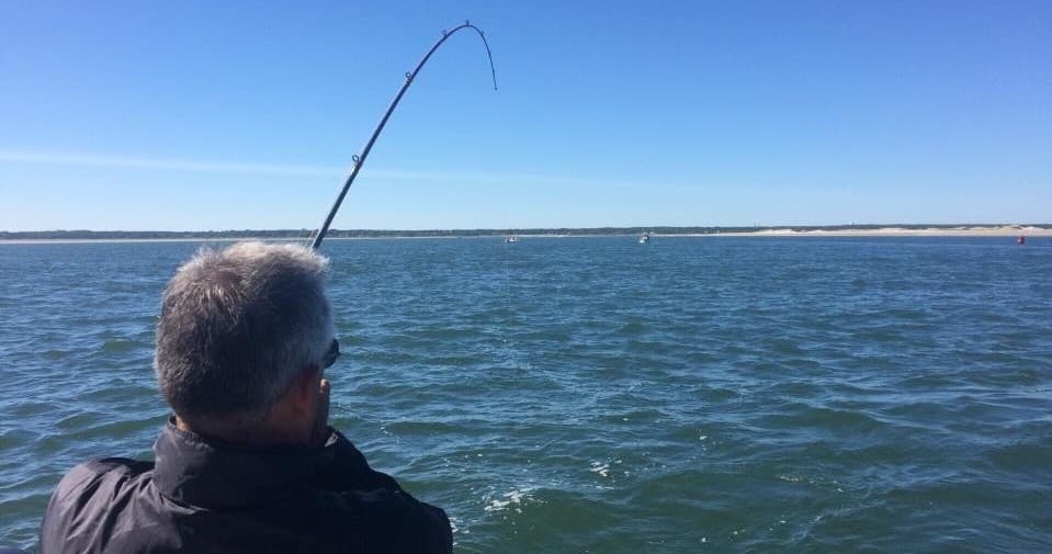 Fishing Adventure at Cape Cod Bay with Sea Dog Fishing