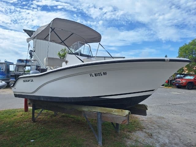 Explore Key West Waters on the 200 Seafox Viper
