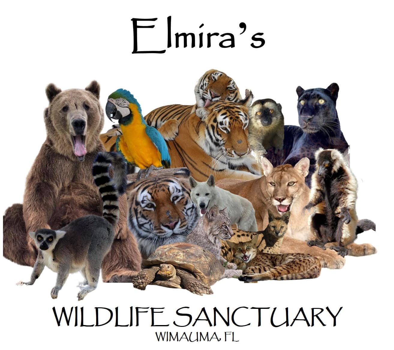 Wildlife Sanctuary Walks at Elmira's in Wimauma, FL