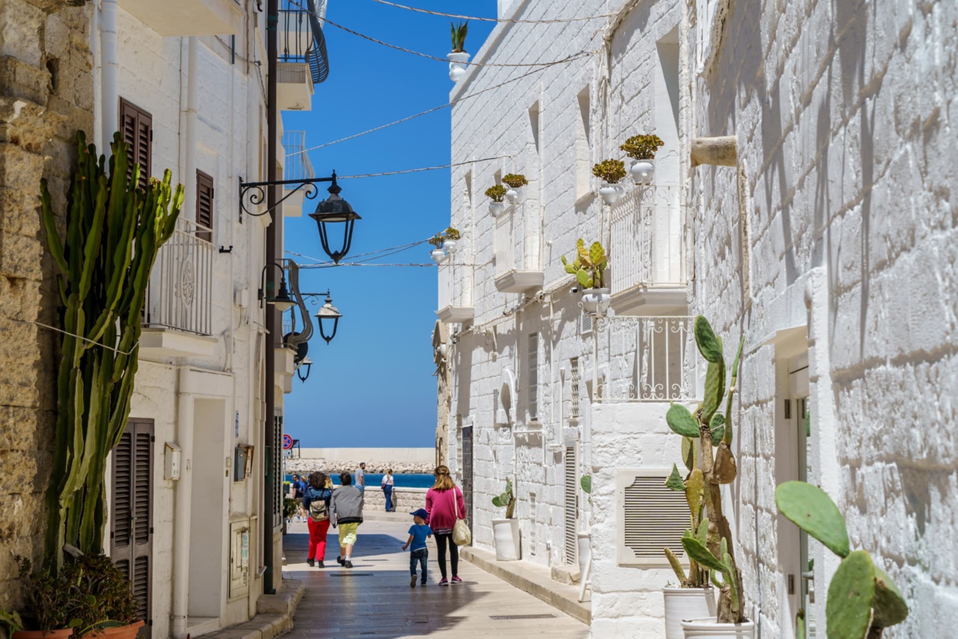 Savor Authentic Flavors on the Street Food Tour di Monopoli, Italy