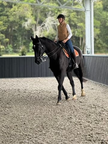 Bexland Indoor Dressage Arena Hire Near Noosa photo 2