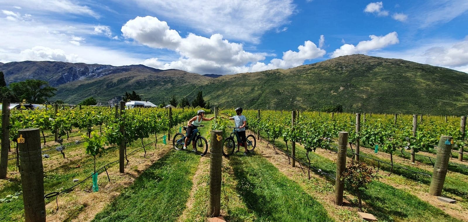 Ride To The Vines eBike Tour with Ride To the Sky