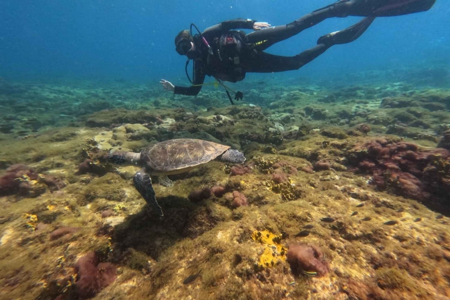 Water Activities with Menzel Cabo Verde on Sal Island