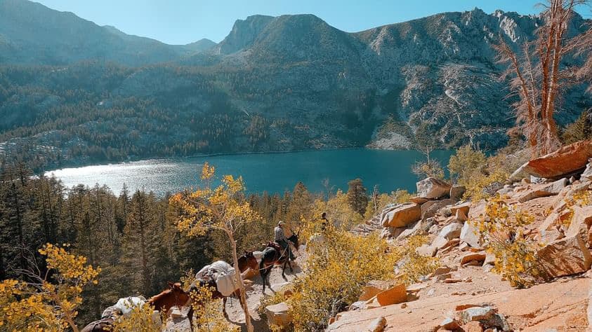 Rainbow Pack Outfitters team