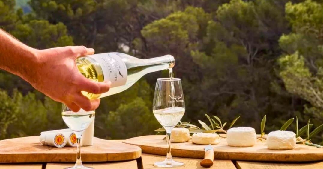 Discover Provence Goat & Wine Day: Authentic Farm Life and AOP Palette Wine Tasting in Meyreuil