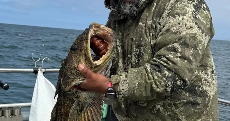 Deep Sea Rock Cod Fishing with Fish Berkeley