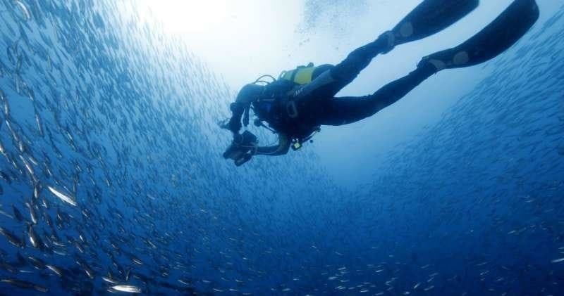 Water Activities at Season Challenge Azores Islands Diving Center