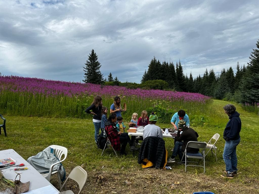 Explore Wildcrafting Workshops at Homer’s Inspiration Ridge Preserve