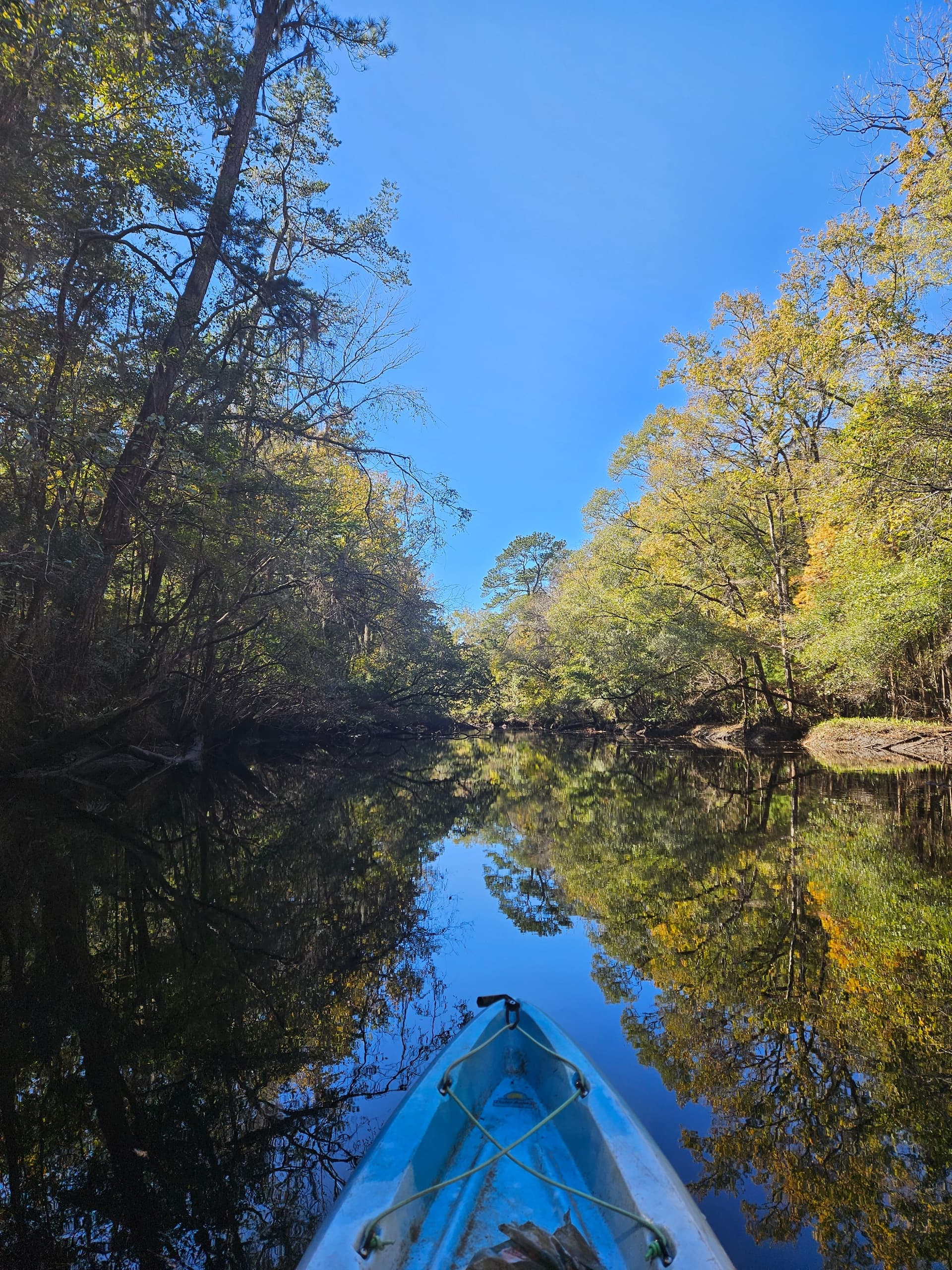 Ashley River Kayak Tour