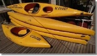 Paddling Echuca: Murray River Kayak Hire for Wildlife, History, and Quiet Water
