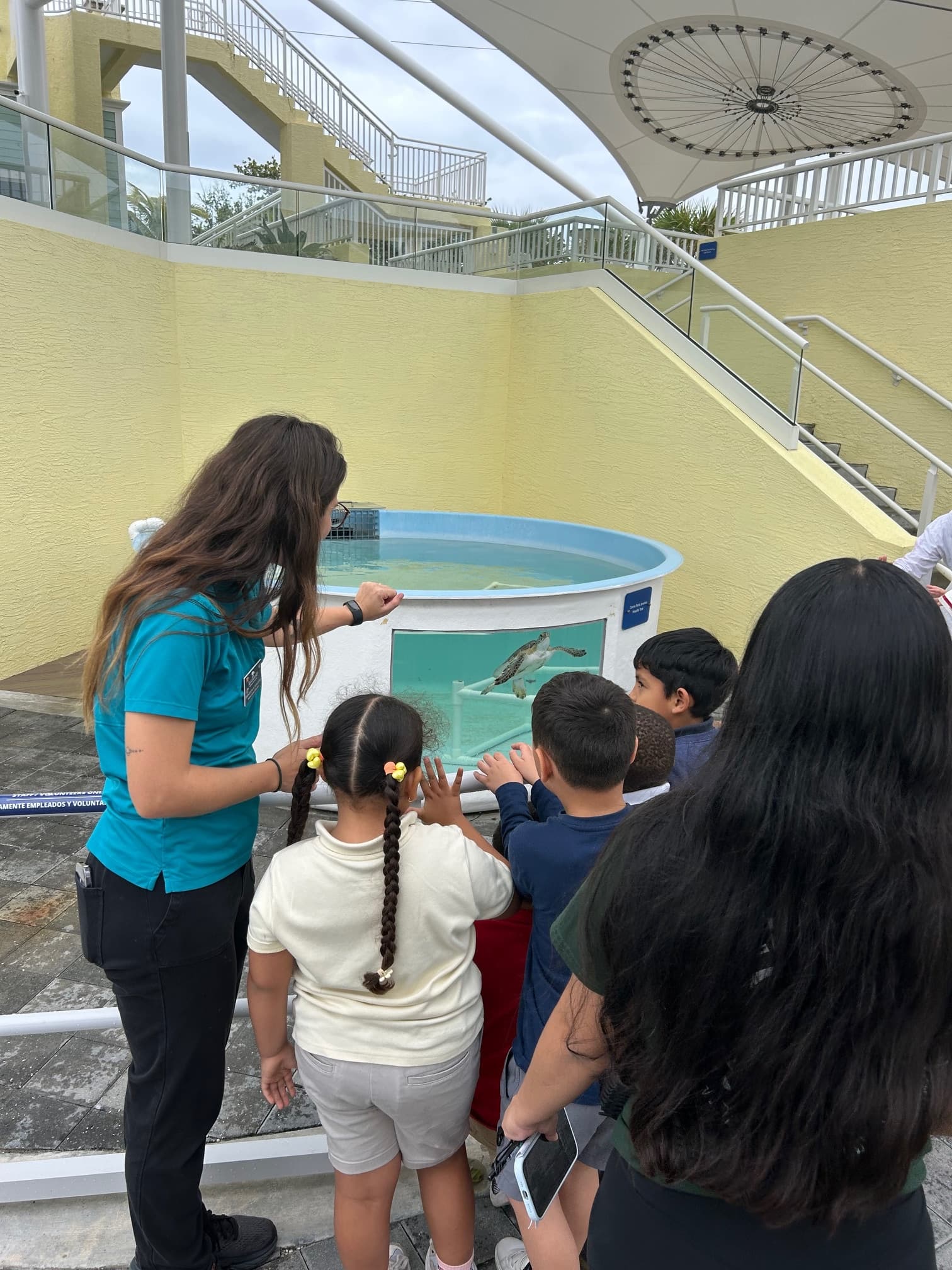 Meet Rescued Sea Turtles: 1st Grade Community Experience at Loggerhead Marinelife Center
