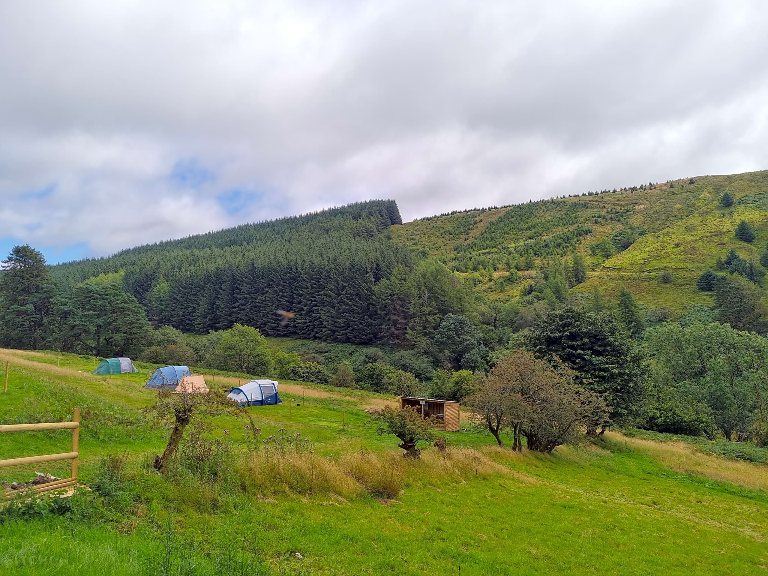 Camping & Nature at Reservoir View Campsite by Parkwood Outdoors Dolygaer