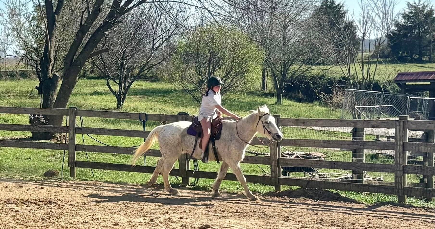 Two-Hour Western Horsemanship Lessons in Park City, KY
