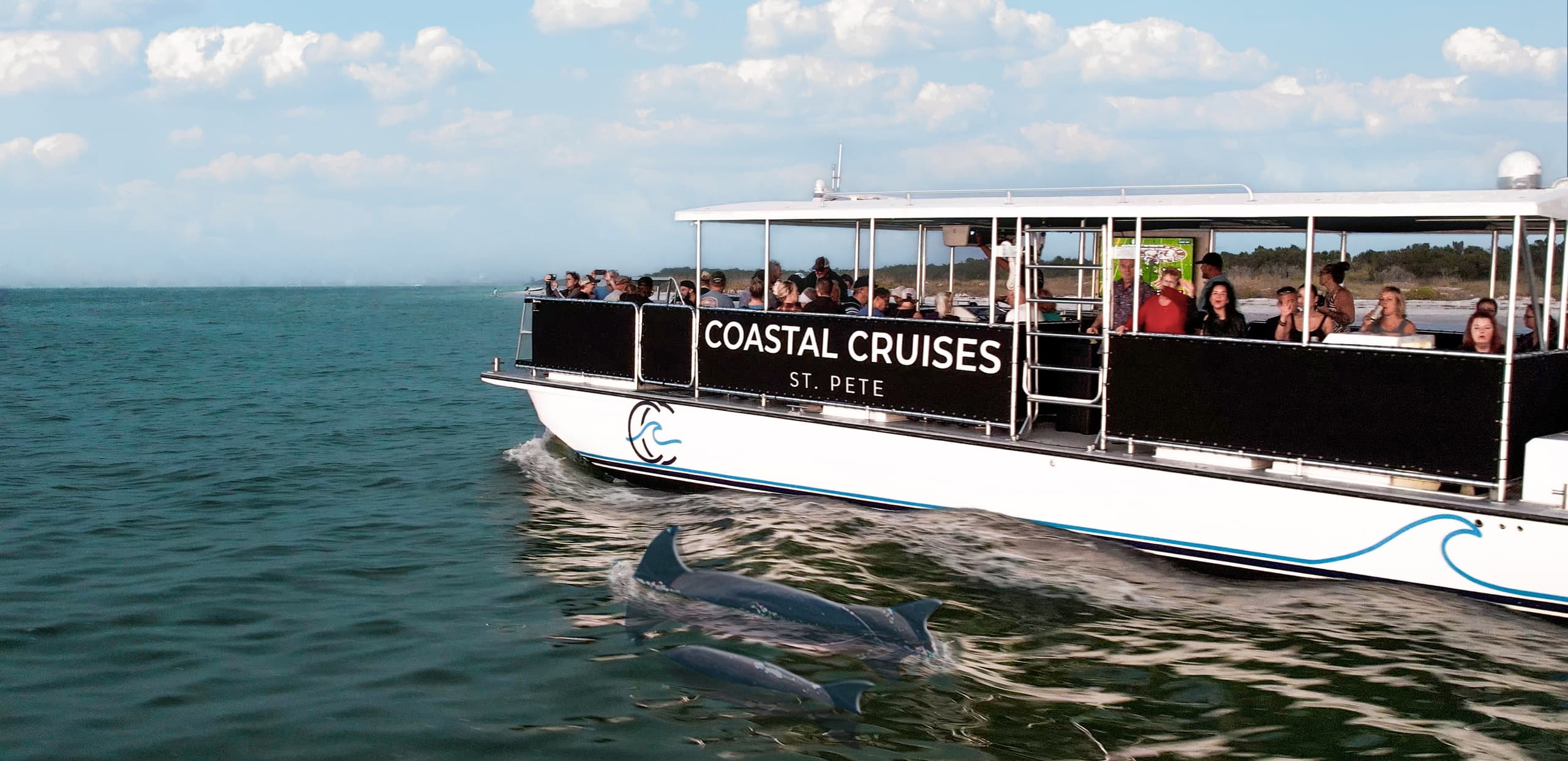Dolphin & Shelling Adventure in Gulfport: Explore Wildlife and Coastal Beauty