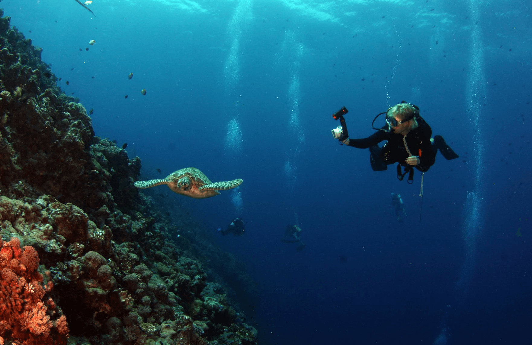 Discover Scuba Diving in Tarifa: Half-Day PADI Intro at the Strait of Gibraltar photo 1