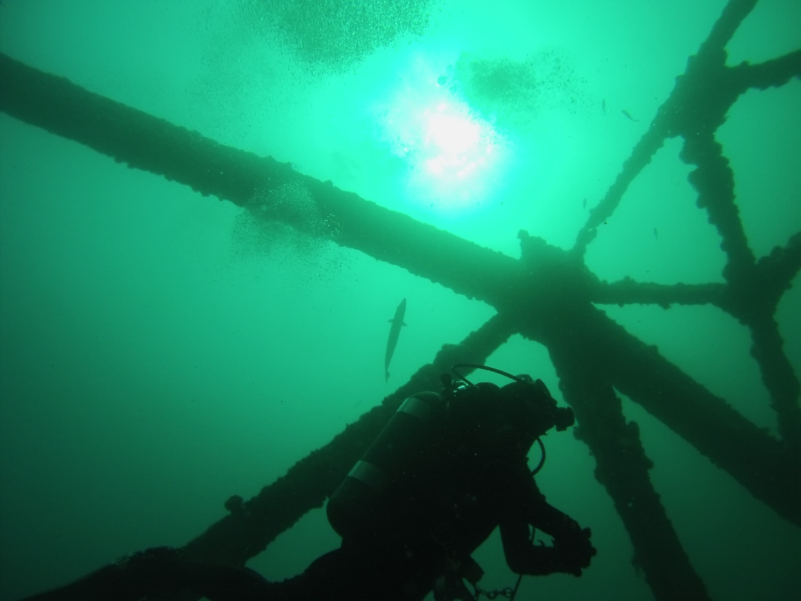 Water Activities & Panama City Dive Center: Offshore Spearfishing Adventure