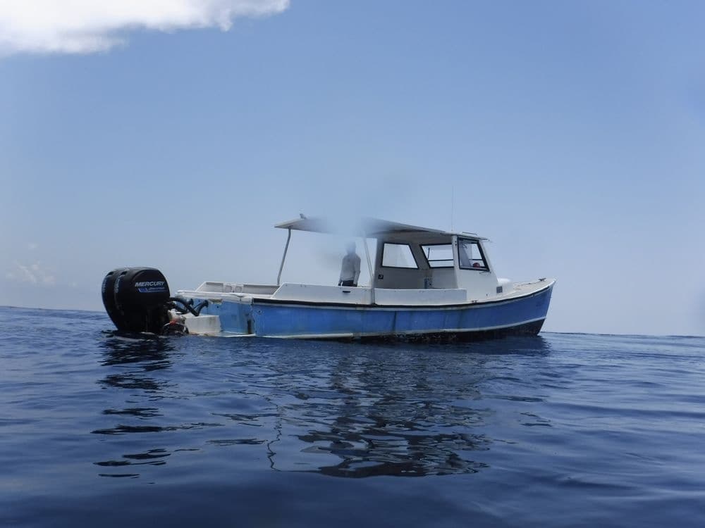 Private Charter Boat Diving in Cancún, Quintana Roo