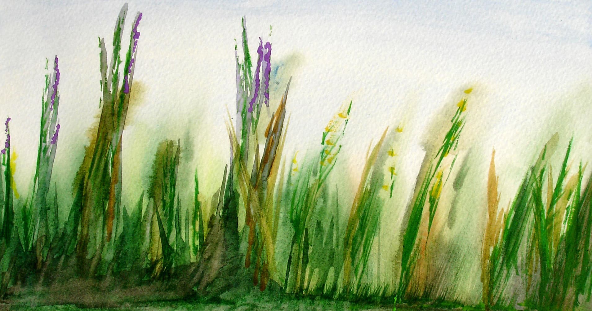 Explore Nature and Art: Watercolor Painting with Wildlife Inspiration in Rookery Bay