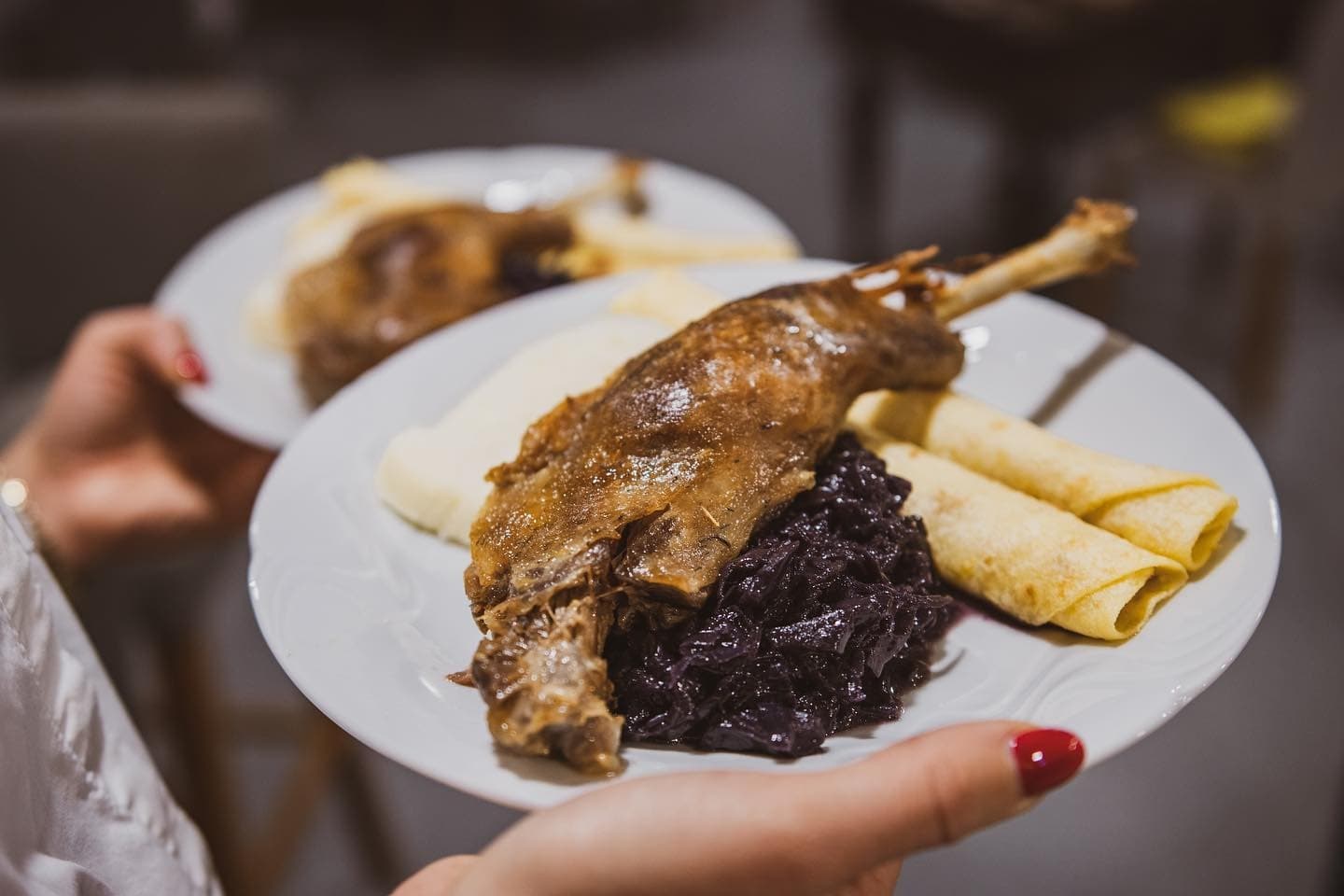 Danube Dinner Cruise: Traditional Goose Feast by Slovenská plavba