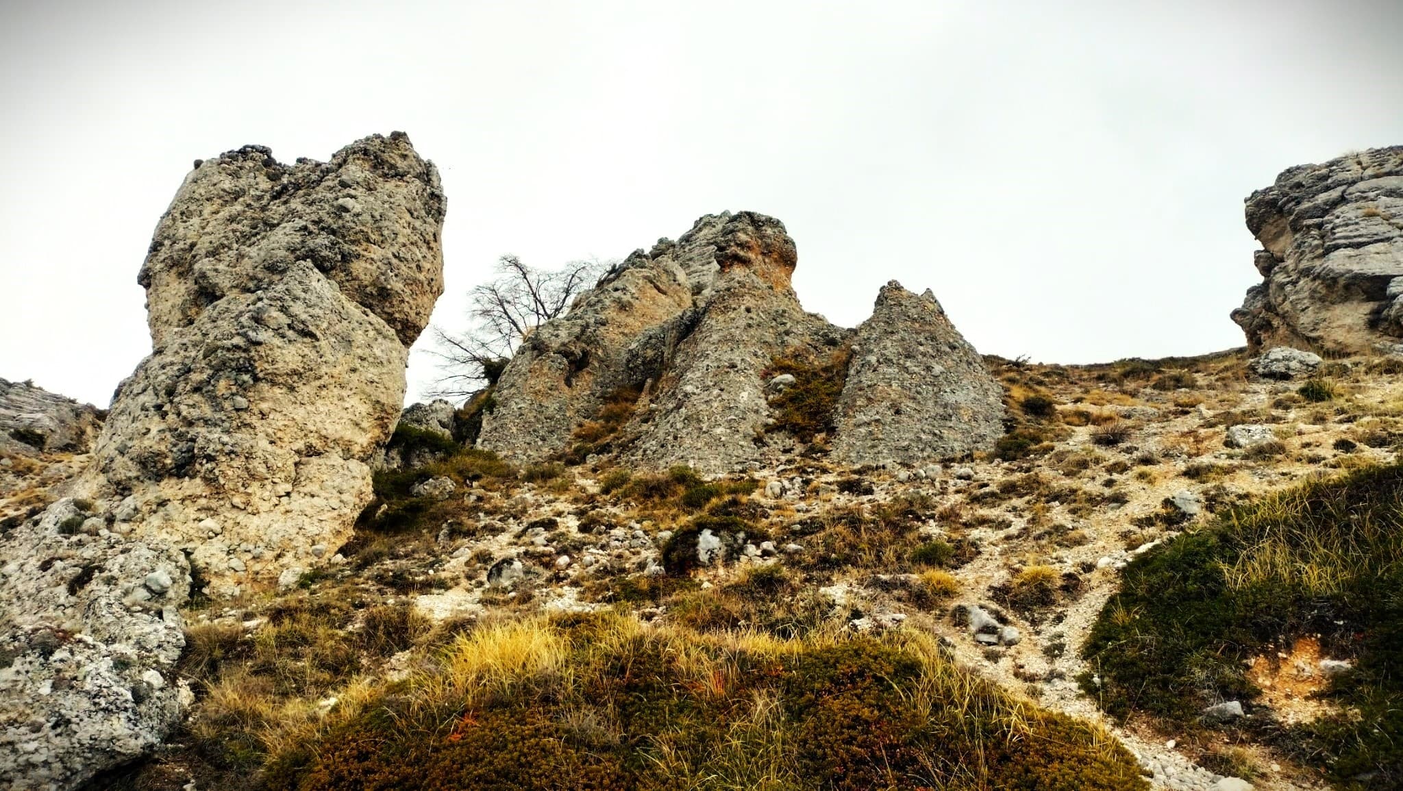 Griffon Vulture Hike at Monte Velino: Birding & Wildlife in Sirente-Velino Park photo 3