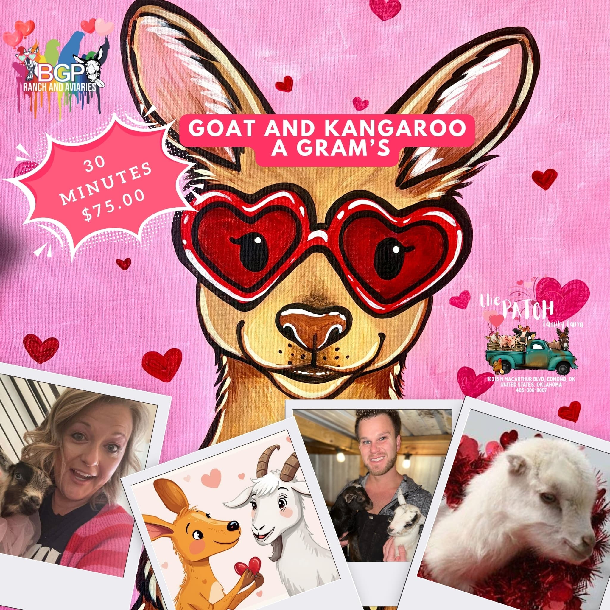 Valentines Day Grams: Mobile Baby-Goat & Kangaroo Visits in Edmond, OK