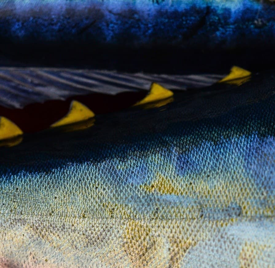 Giant Bluefin Overnight: Gloucester Offshore Tuna Fishing Adventure