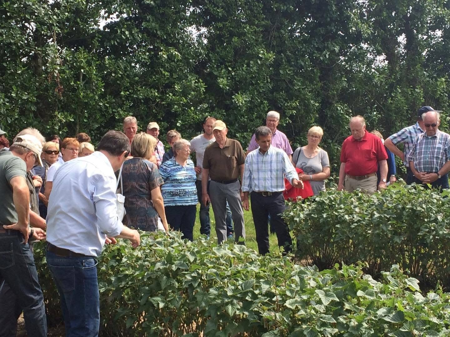 Blackcurrant Farm Tour with Good Food Ireland in Wexford