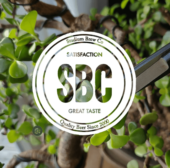Bonsai Bar at Stadium Brew Co.: Make a Tiny Bonsai in Aliso Viejo