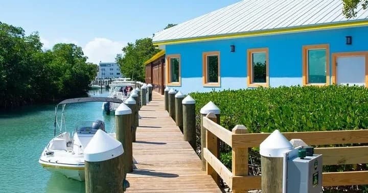 Dock and Dine with Blue Arrow Charters in Islamorada