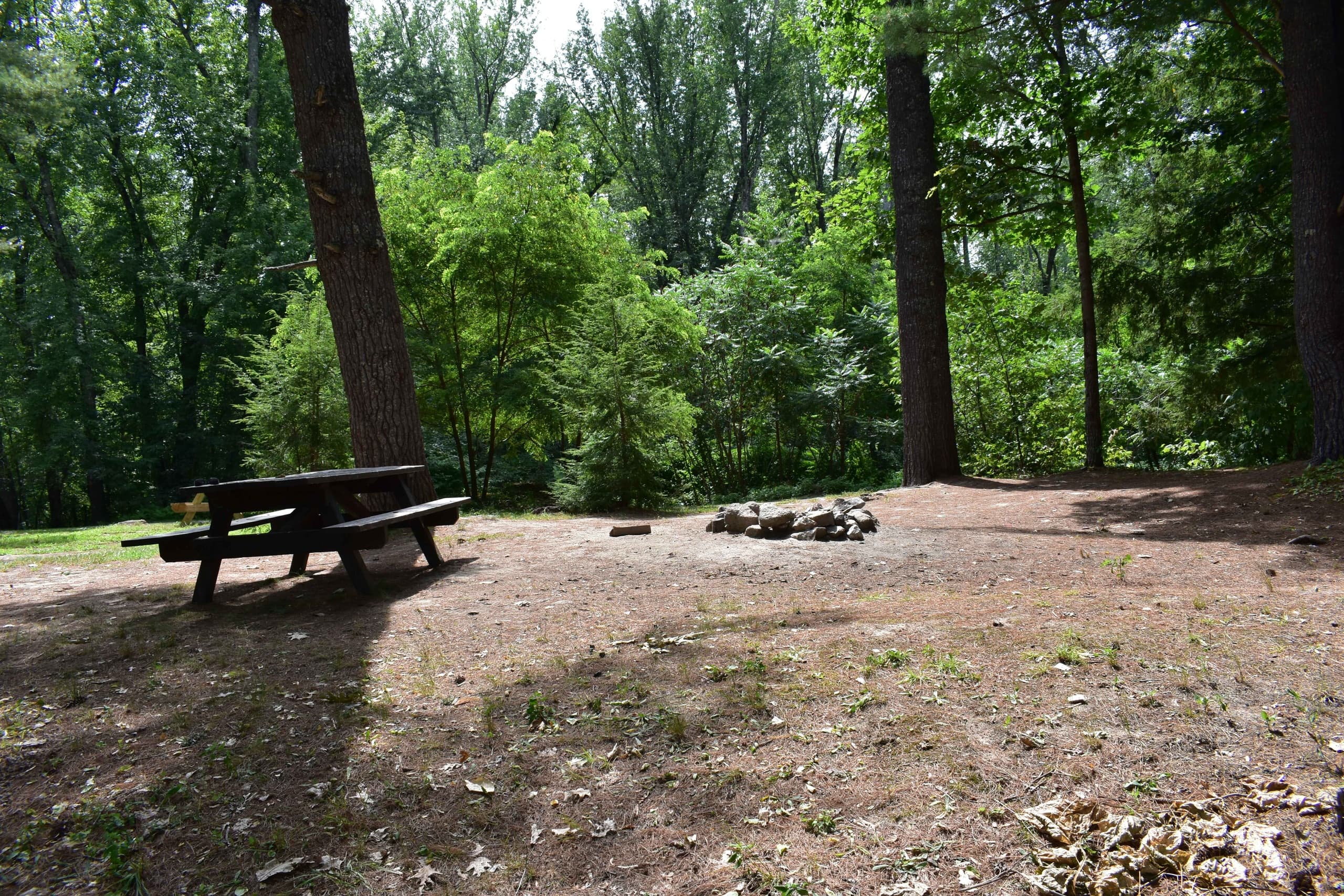 Land Adventure at Canal Bridge Campground – Campsite 7