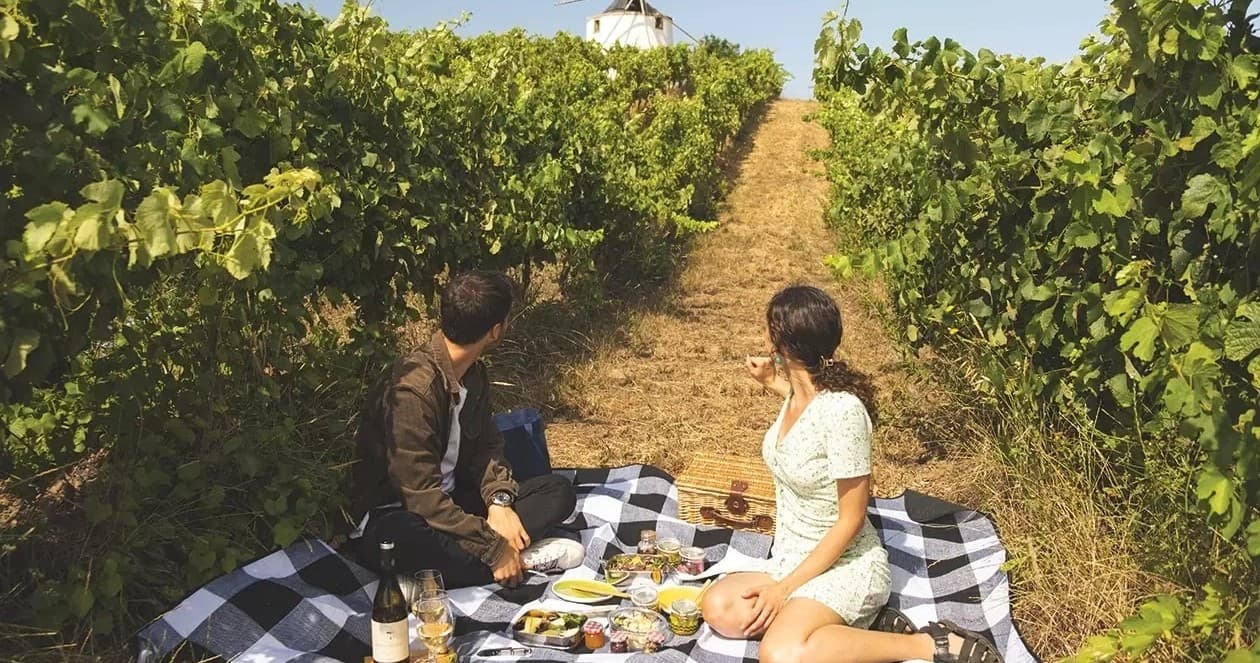 Sobral Monte Agraço Picnic Winery | Food Tour in União das freguesias de Dois Portos e Runa | Winery, Wine