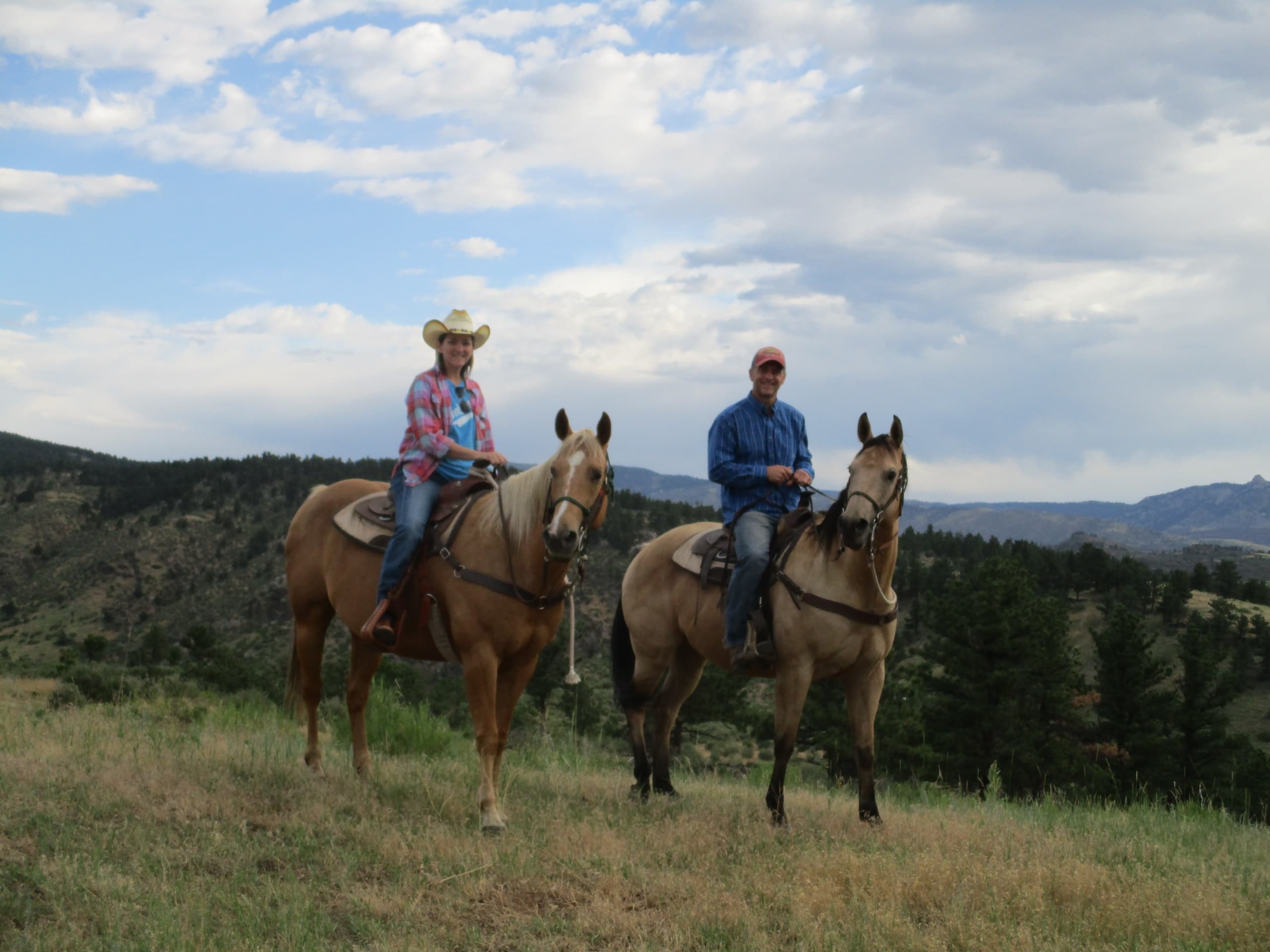 2 Hour Scenic Trail Ride in Loveland, Colorado