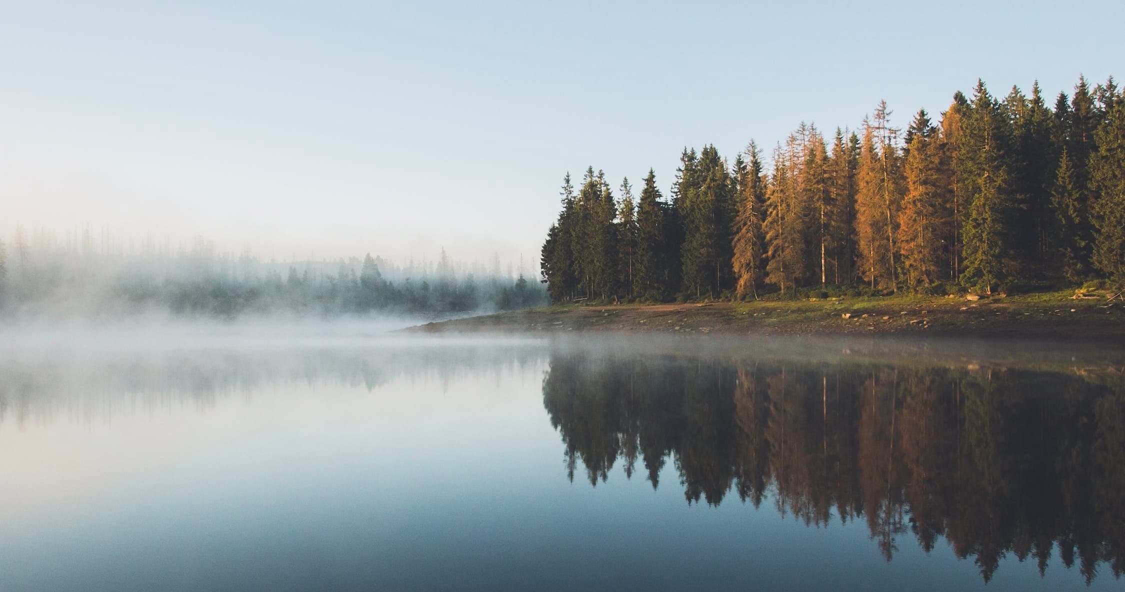 Misty morning lake with tree-lined shore perfect for kayaking