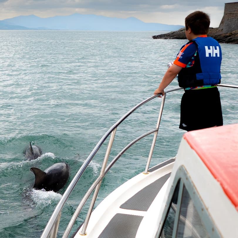 Sea Angling Adventures with Tralee Bay Experience in Kerry
