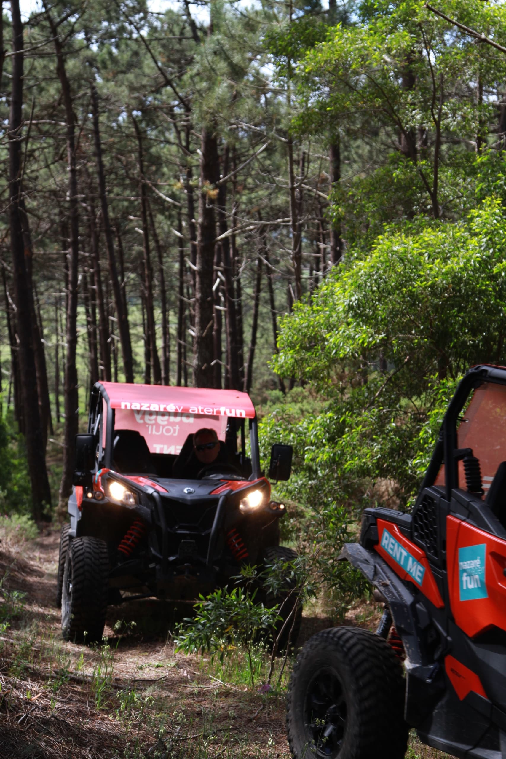 Off-Road Adventure: Pinhal Norte Buggy Tour in Nazaré