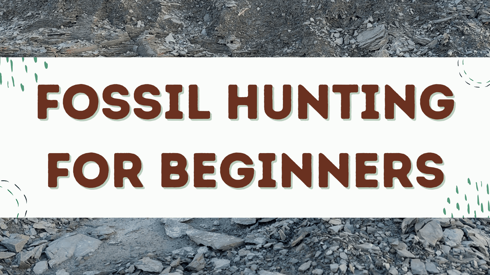 Fossil hunting on exposed shale beds at Penn Dixie park