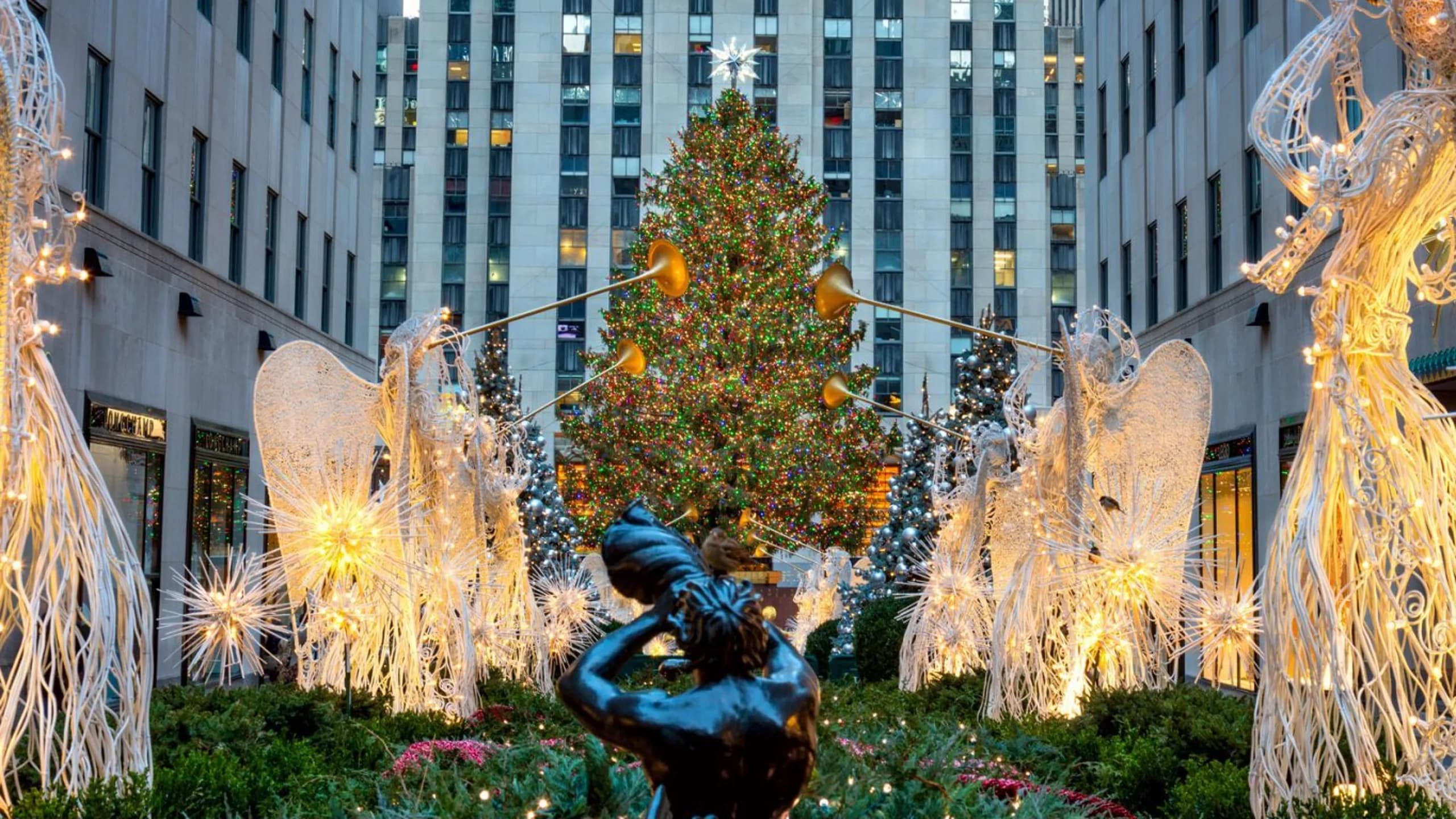 Experience NYC's Holiday Magic: The Ultimate Christmas Lights Horse Carriage Tour